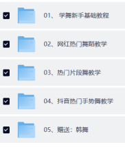 【虚拟资源】各种舞蹈教程合集