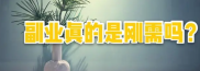 对于副业，说说我的看法？