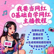 0基础自学主播网红教程，自媒体运营教程电子版视频教程