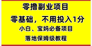 零撸副业项目，零基础，不用投入1分，就可轻松月入过100张，小白、宝妈必备项目，落地保姆级教程。